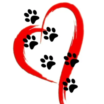 Paws Hope